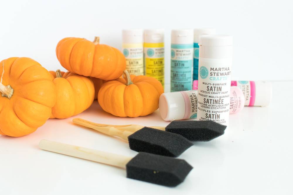 A display has small pumpkins, black brushes and paint tubes.