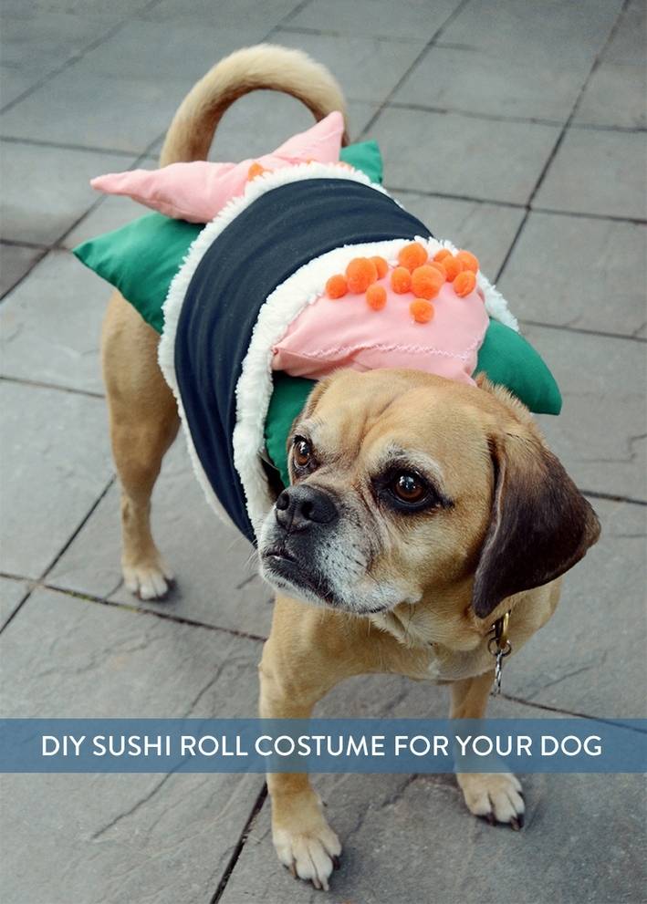 Sushi dog costume
