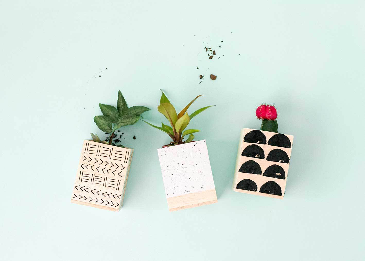 Give your old plant pots a face lift with these balsa wood planters!