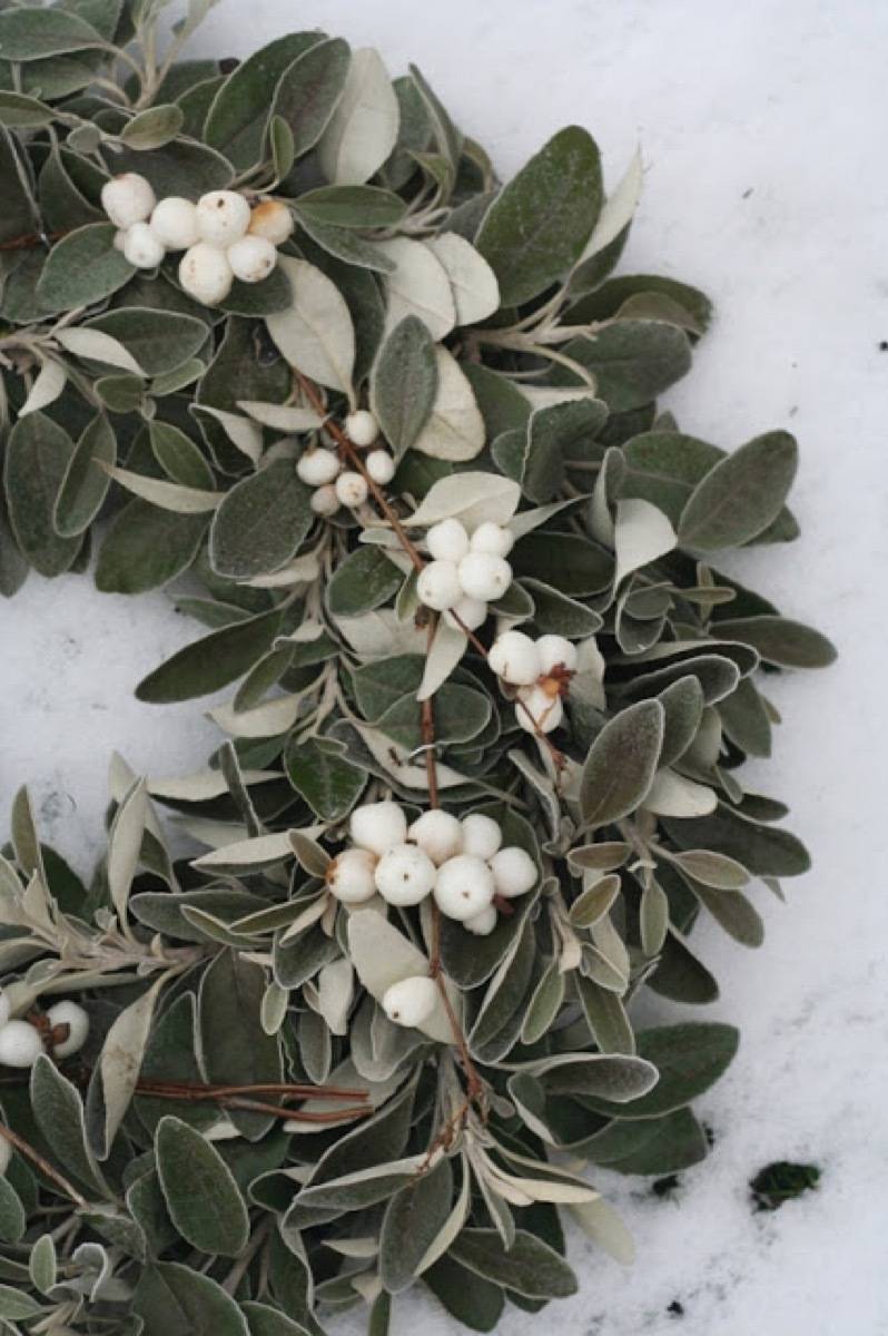 81 Stylish Christmas Decor Ideas You Can DIY | White berry wreath