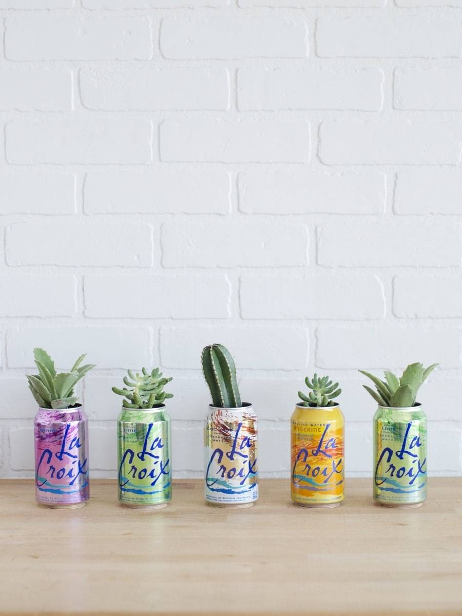 Curbly's Best DIY Projects of 2017: La Croix Can Planters