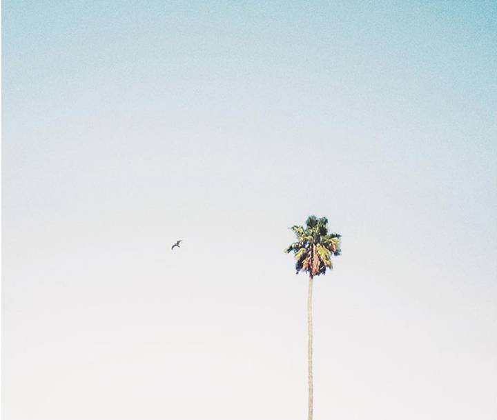 19 Instagram Accounts To Follow If You're In A Minimal Mood