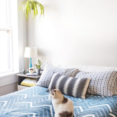 Cleaning Your Mattress: A step by step guide (with video!)