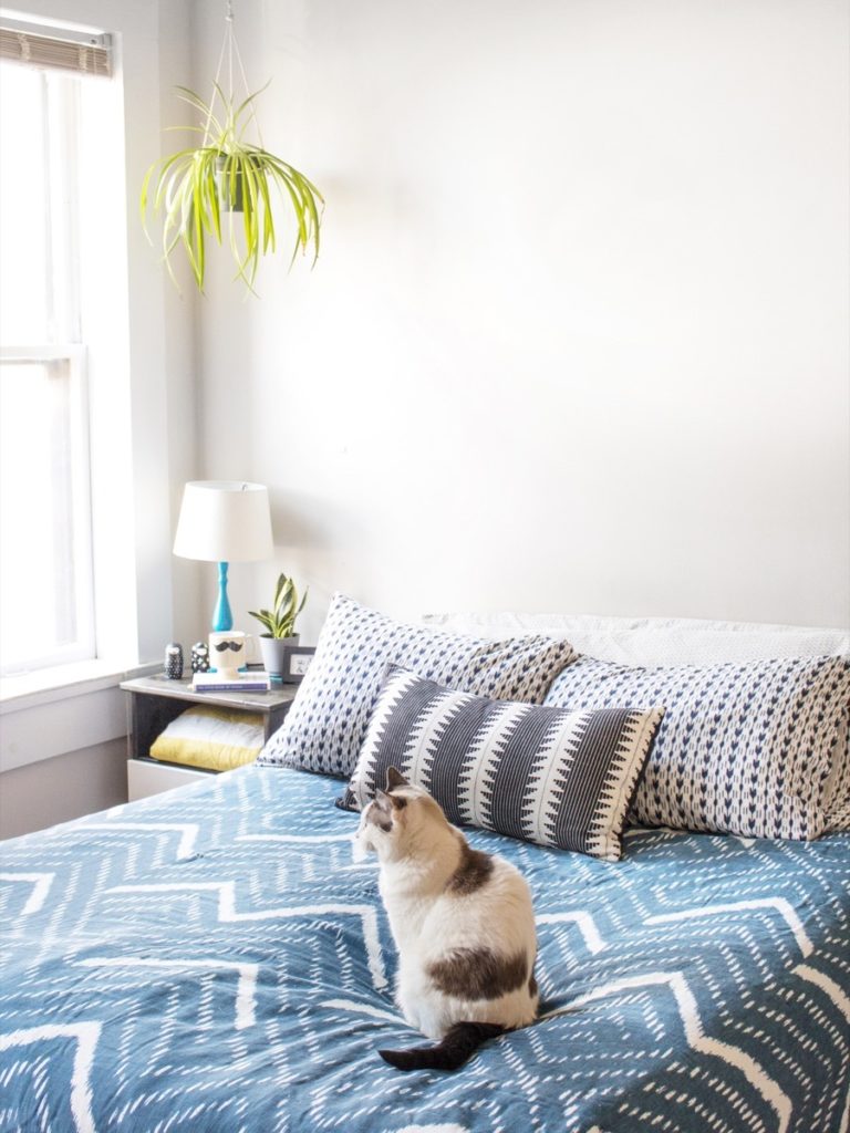Cleaning Your Mattress: A step by step guide (with video!)