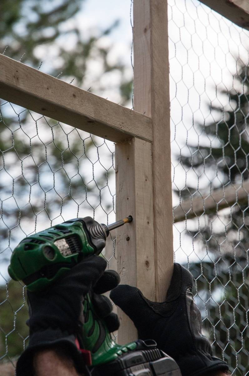 How to Make a Modular CritterProof Vegetable Garden