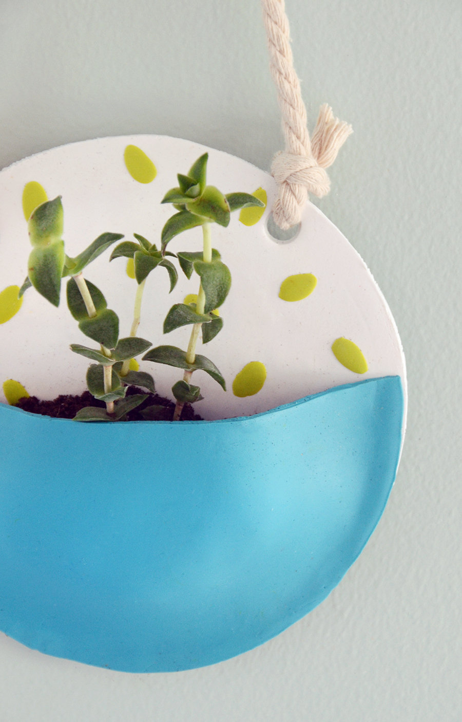 Easy DIY WallMounted Plant Pocket Curbly