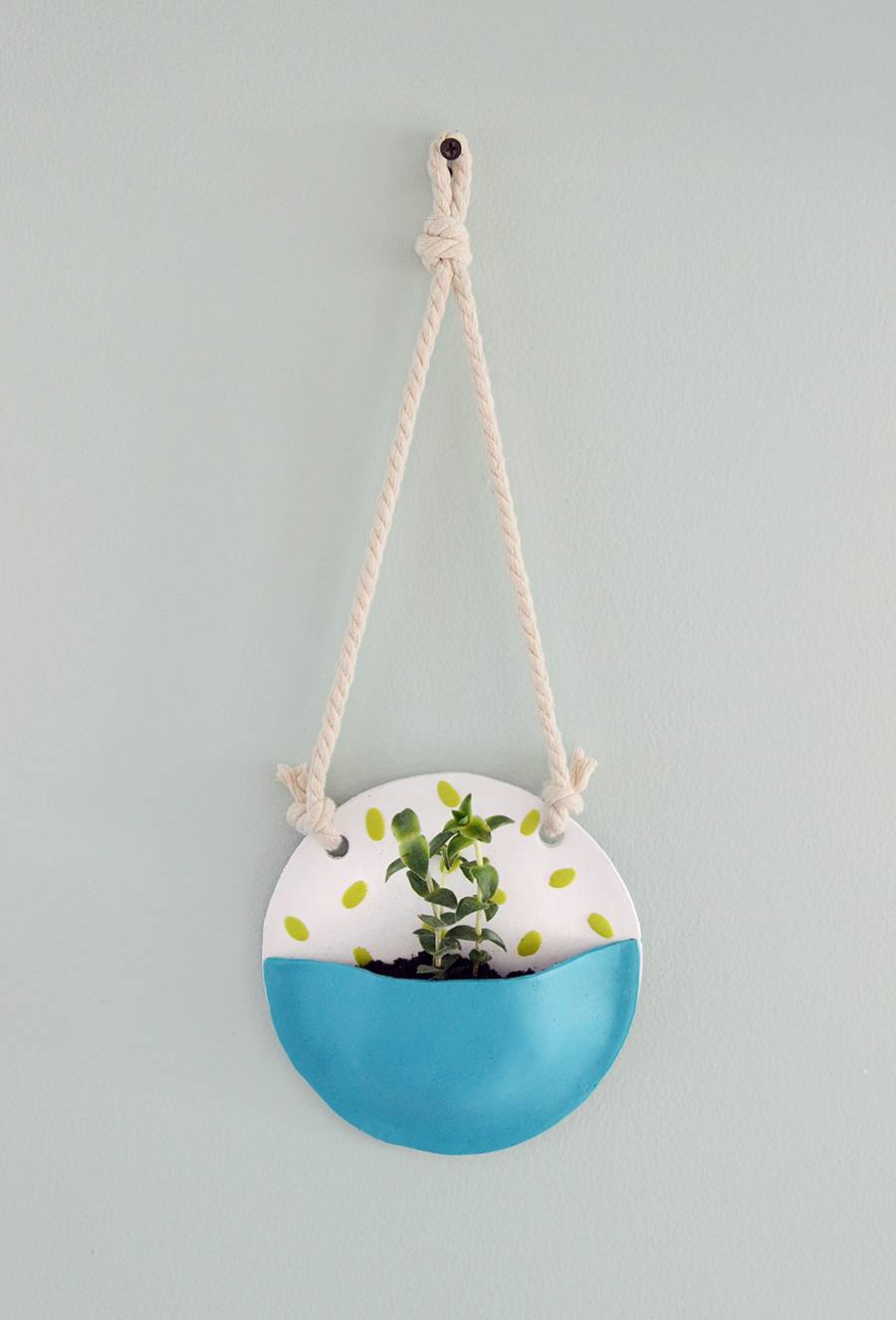 DIY Wall-Mounted Polymer Clay Plant Pocket