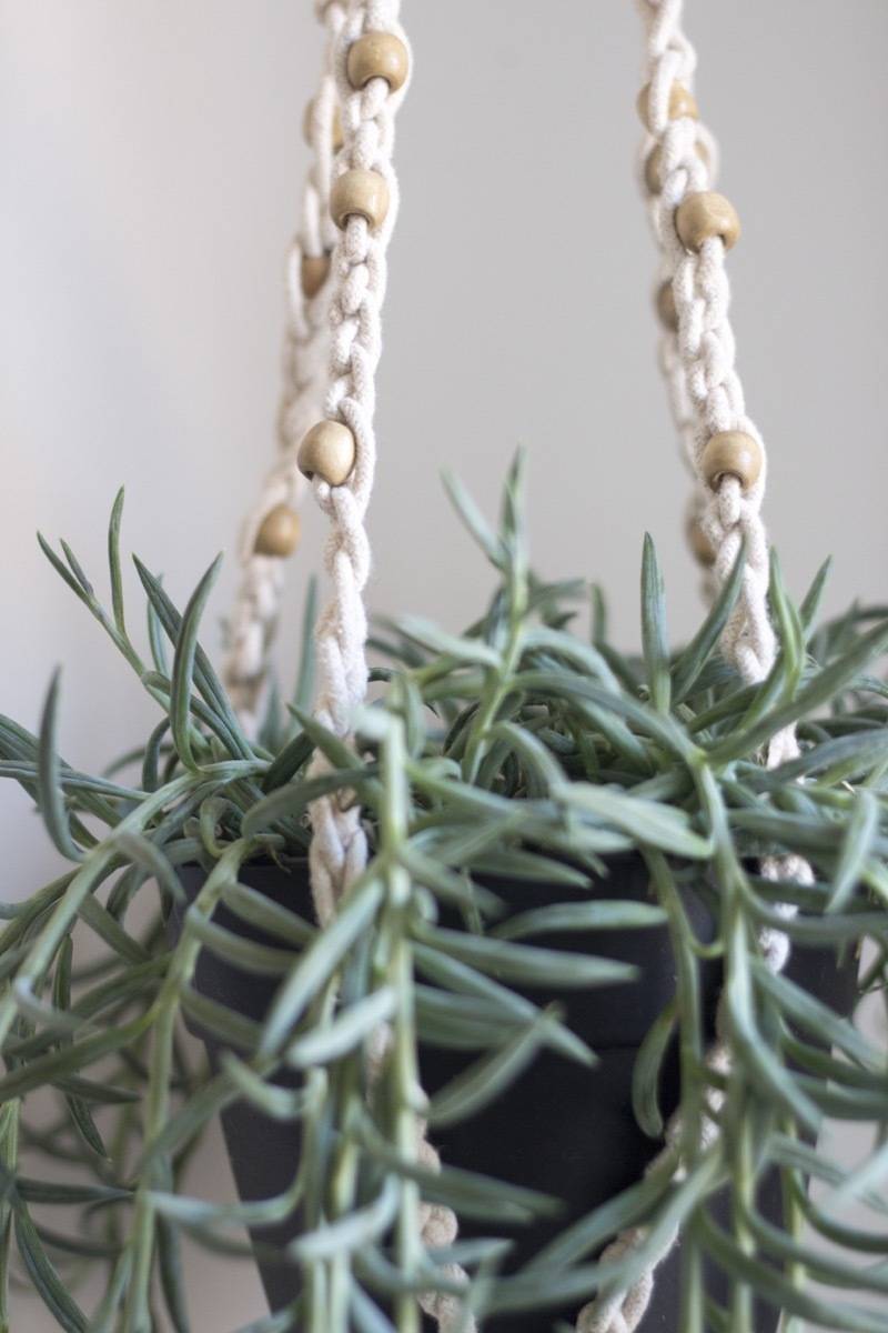 How to crochet a plant hanger