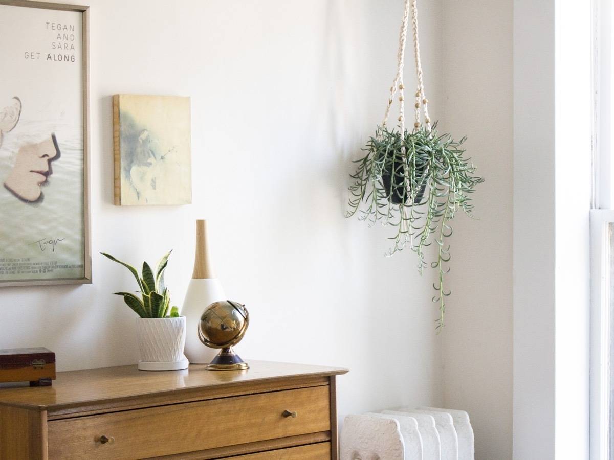 Make This!: DIY crochet plant hanger