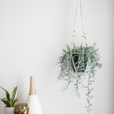 It's not macramé, it's crochet! Make this plant hanger!