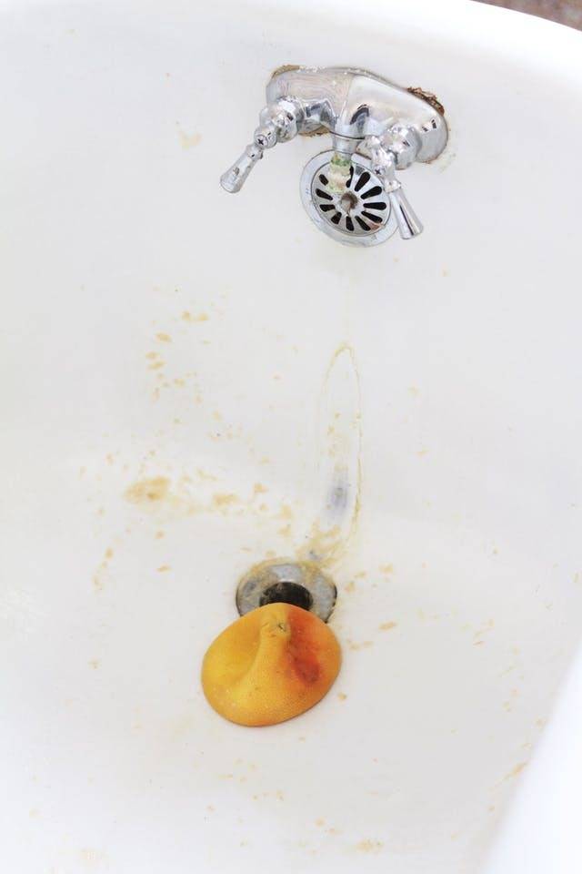 A lemon peel is sitting near the drain of a white bathtub.