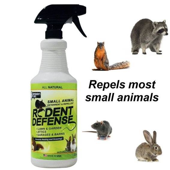 Rodent Defense Squirrel Repellent
