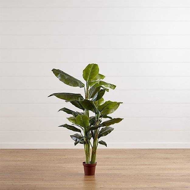 A plant is sitting in a reddish pot on the wooden floor.