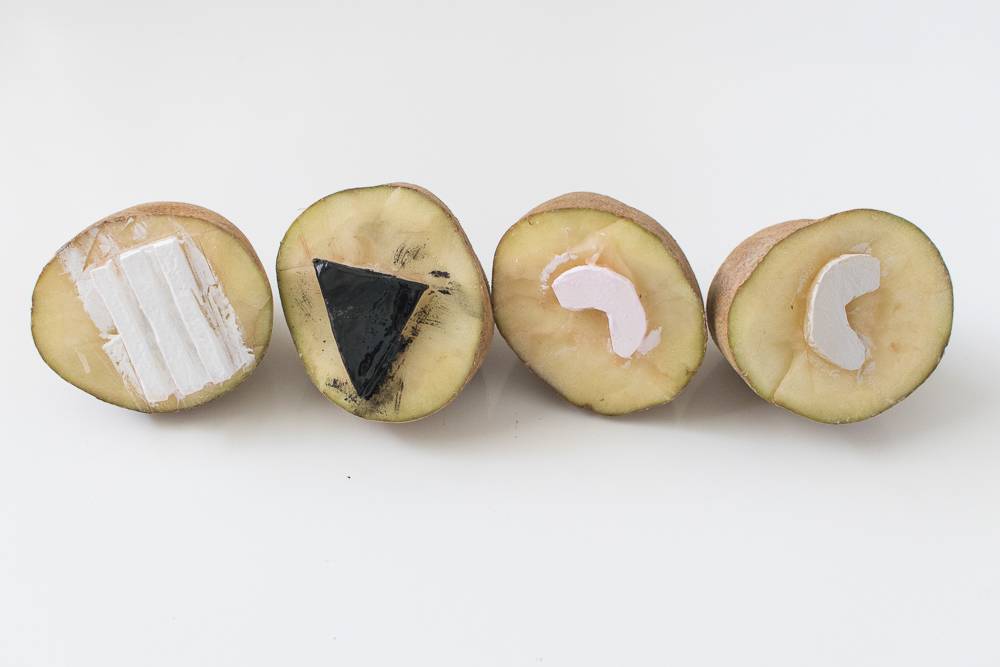 Four cut potatoes with carvings in them, three white carvings and one black carving.