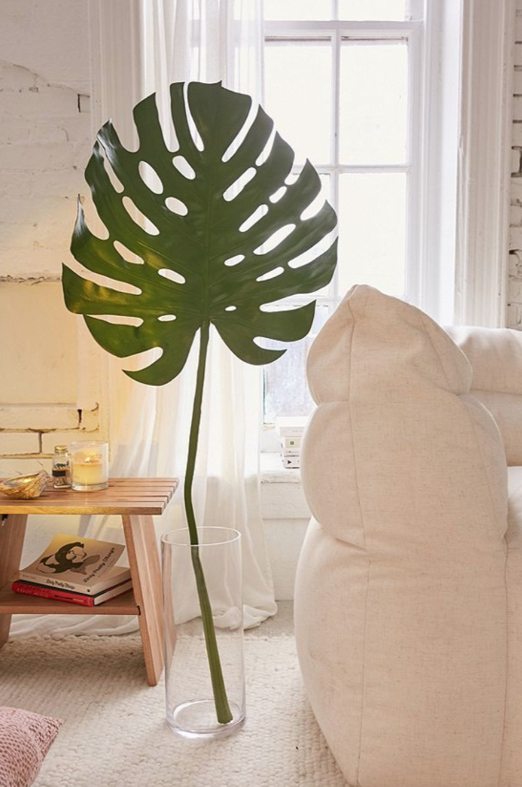 A clear glass with a large plant leaf growing out of it