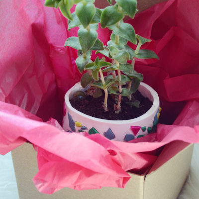 Easy DIY Terrazzo Succulent Planter For Mom