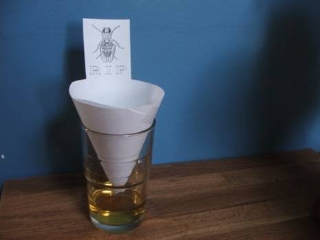 DIY Easy Fruit Fly Trap - Family Fresh Meals