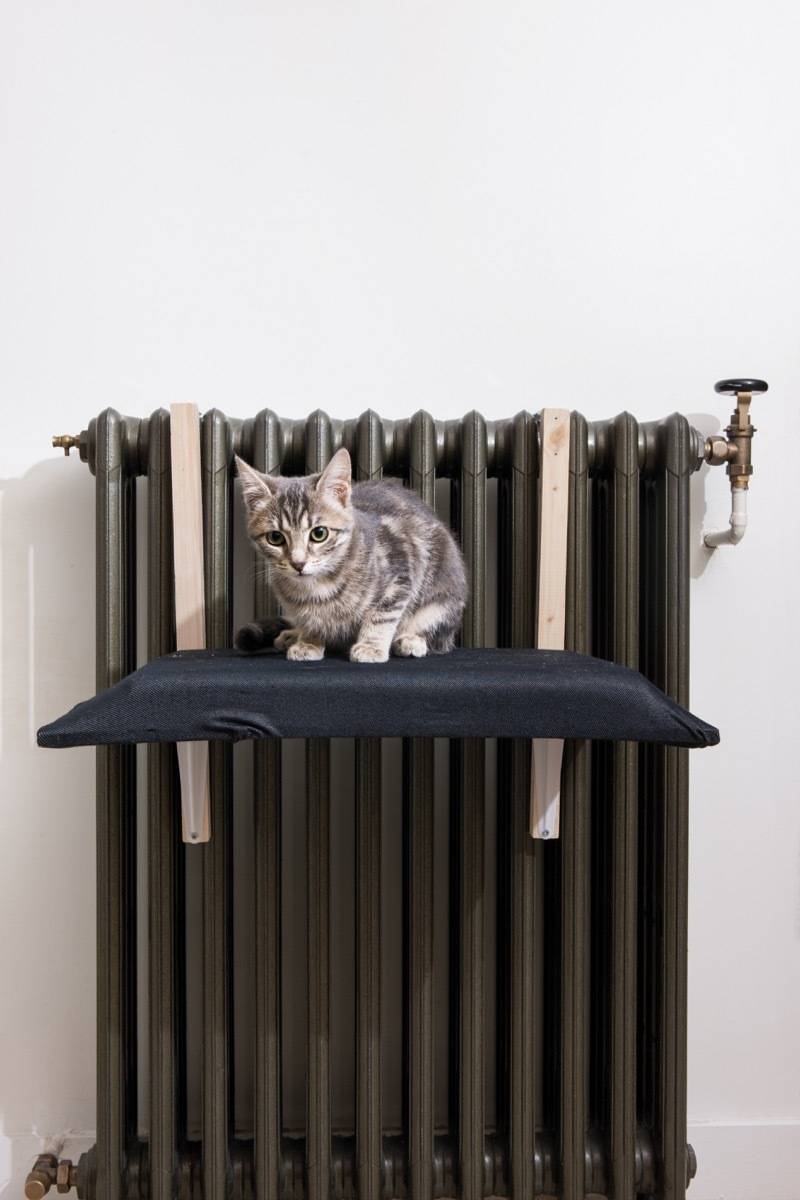 A cat bed that fits over your radiator - from the new book, "DIY Projects for Cats & Dogs"