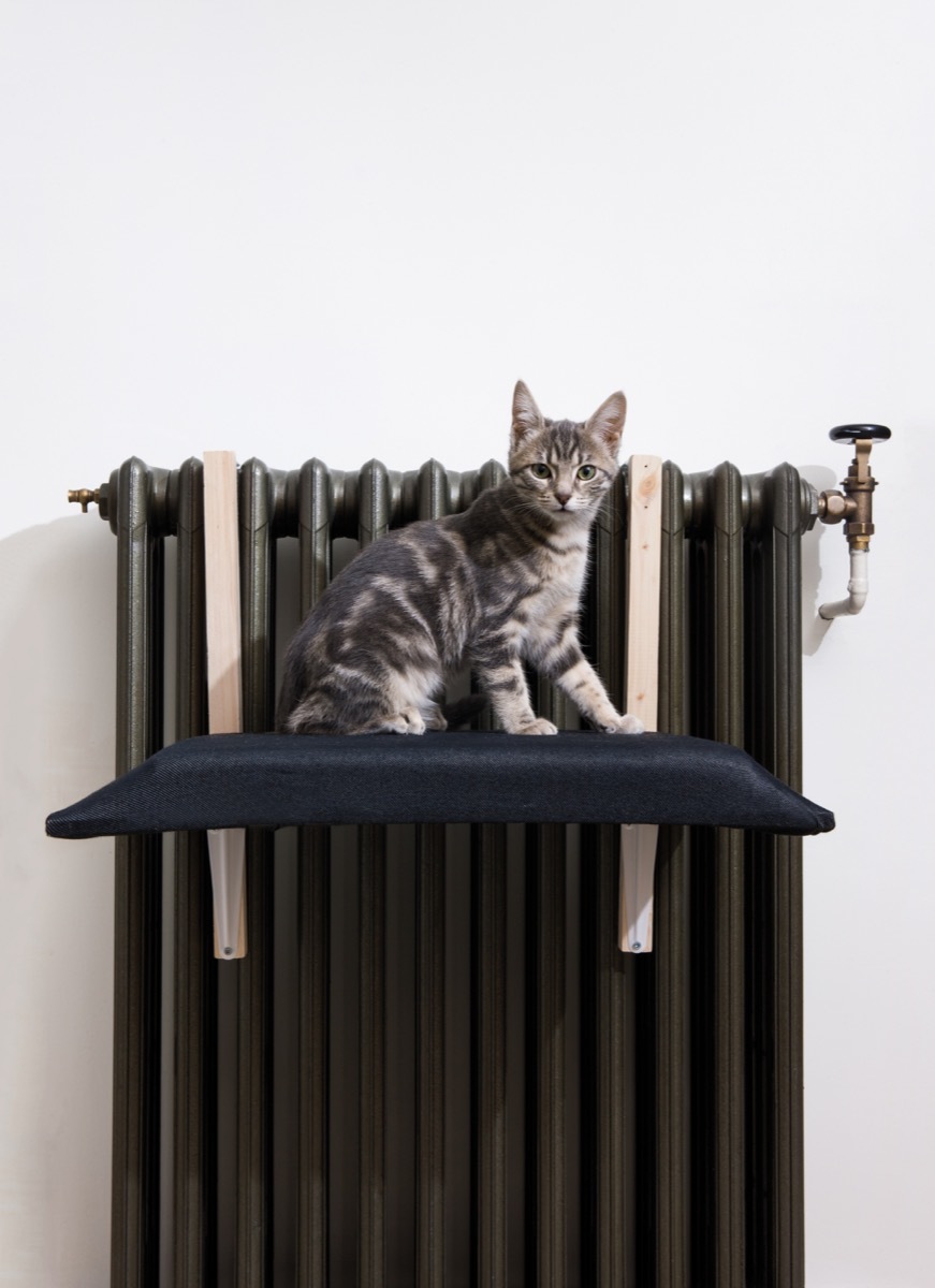 From the new book, "DIY Projects for Cats & Dogs." A tutorial on how to make a radiator cat bed.