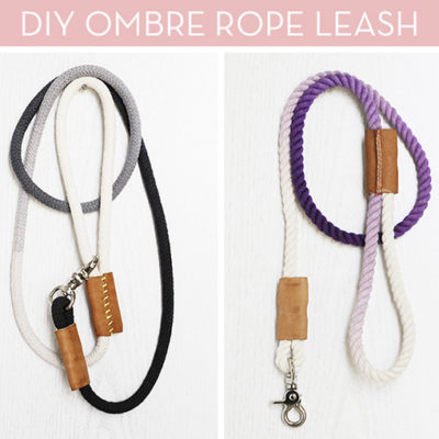 DIY - how to make a dog leash