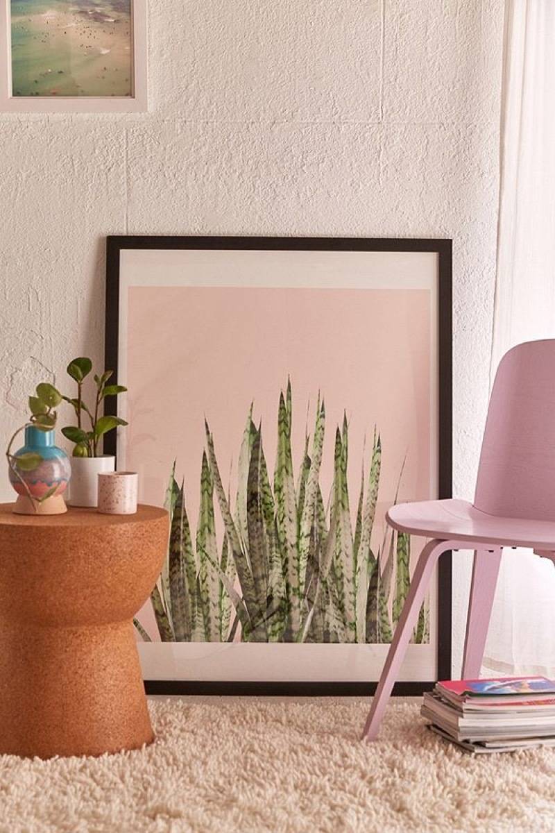 Snake plant wall art from Urban Outfitters