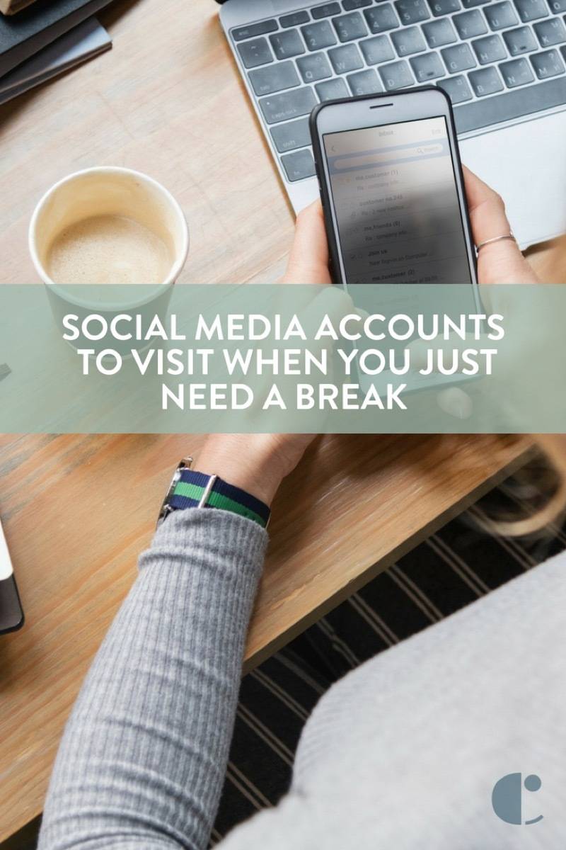 Social media accounts to follow when you need a break