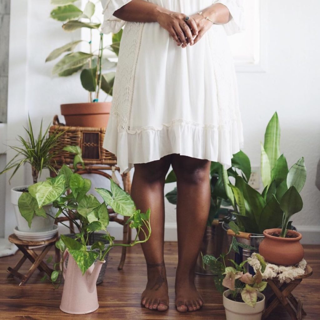 Plant ladies to start following on Instagram - D'Ana Joi