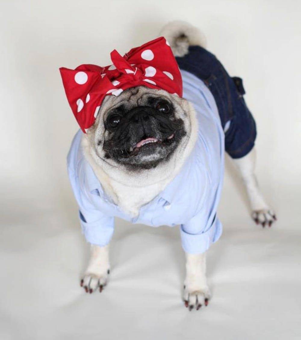 Halloween Rosie the Riveter dog costume