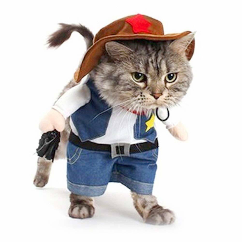 Halloween cowboy cat costume