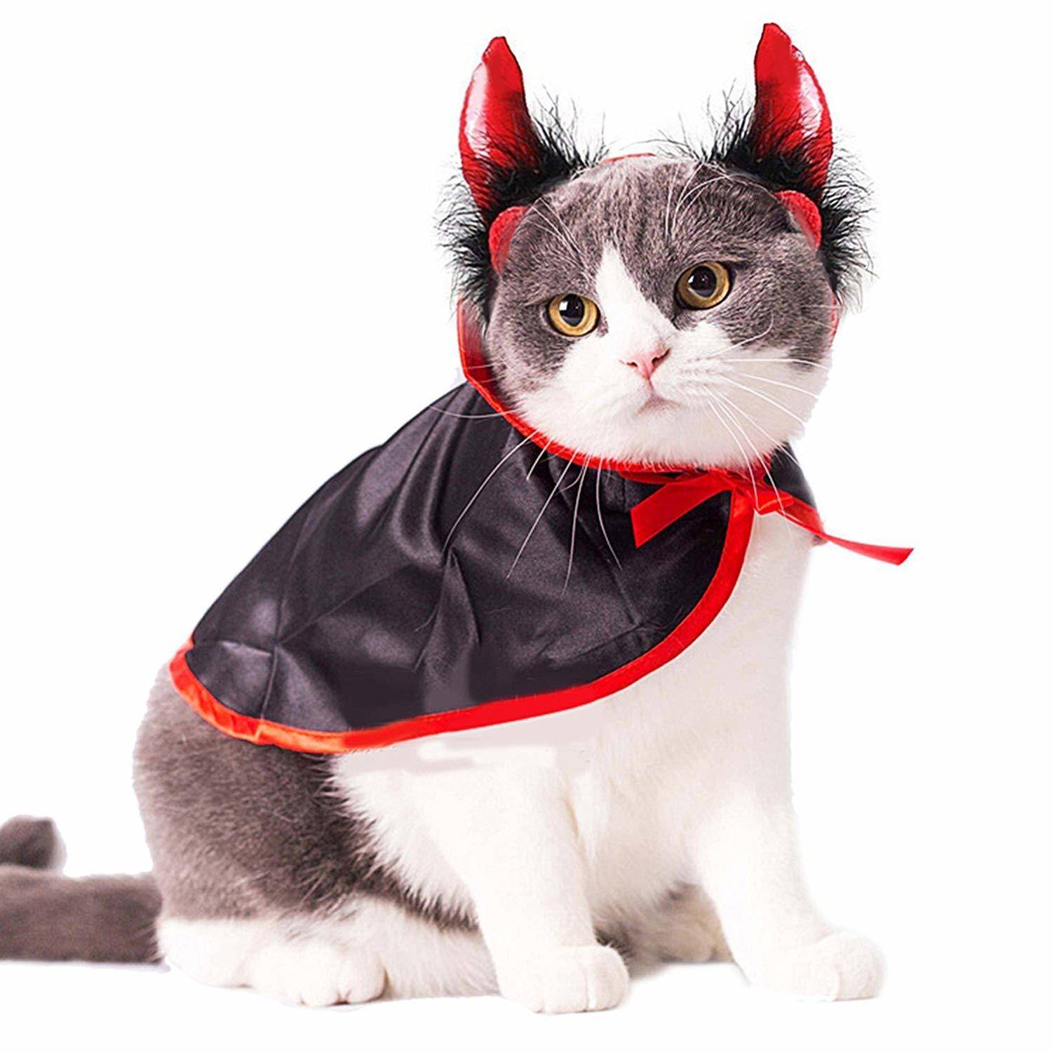 Halloween devil cat costume