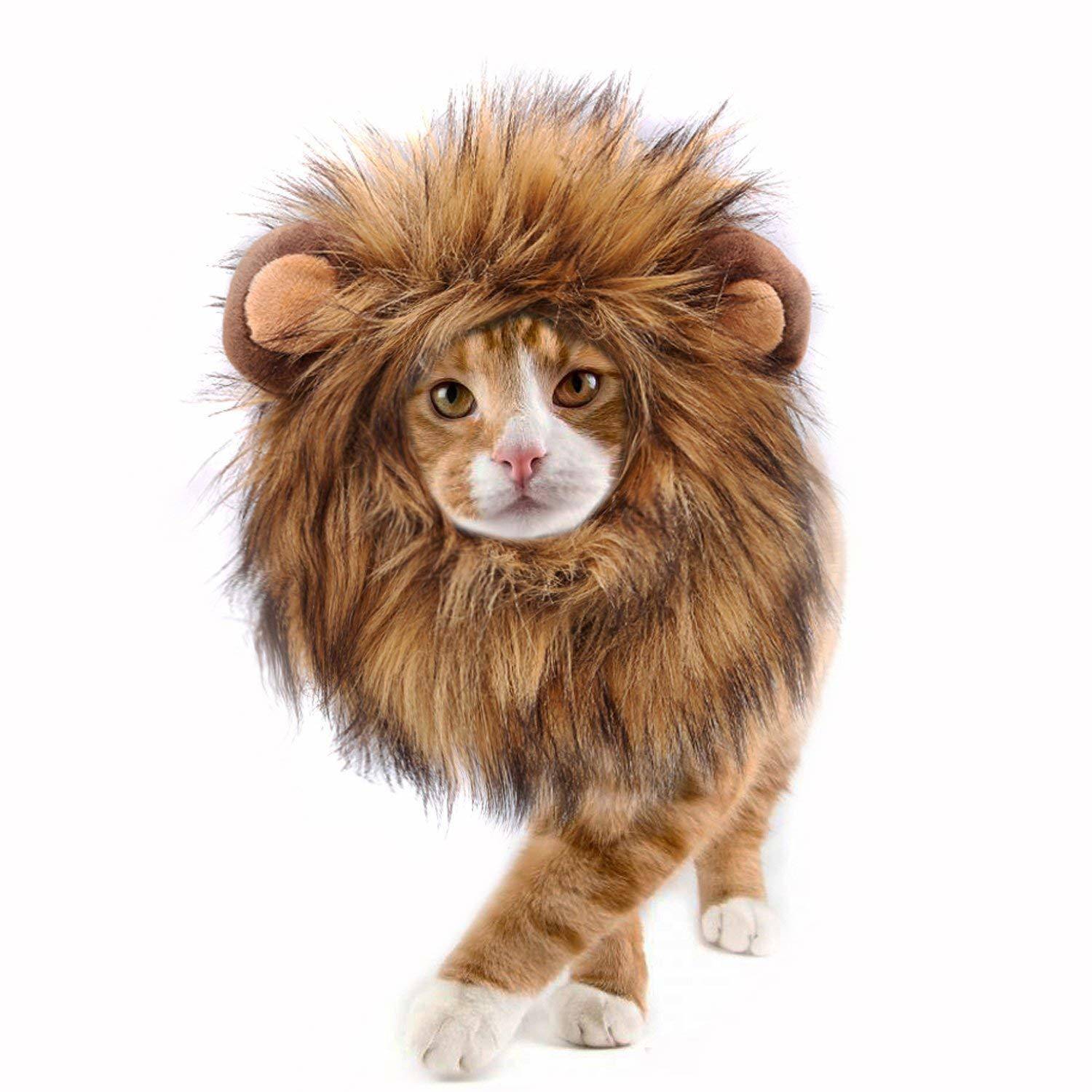 A plush animal cat that is dressed as a lion.