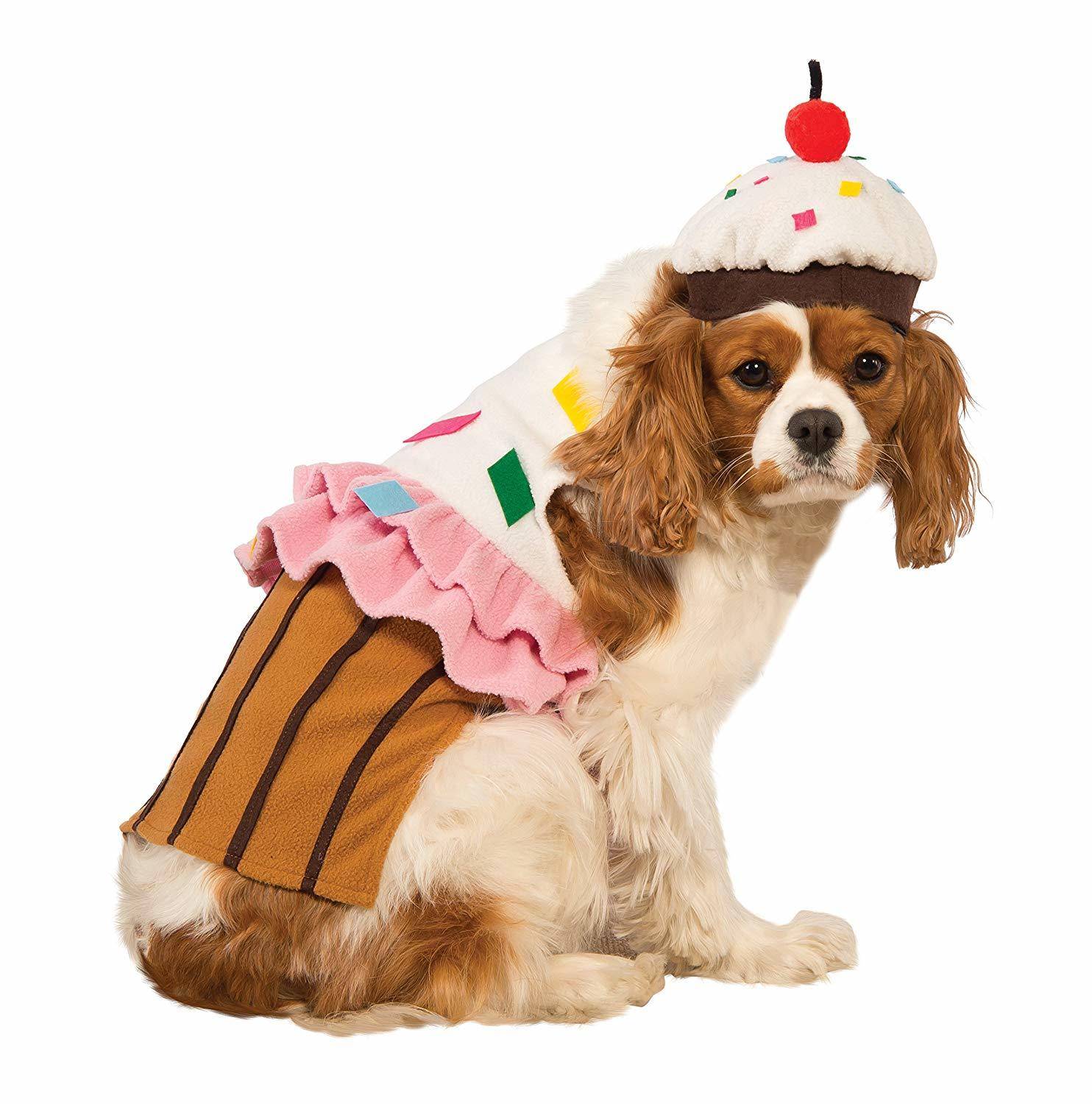 Halloween cupcake dog costume