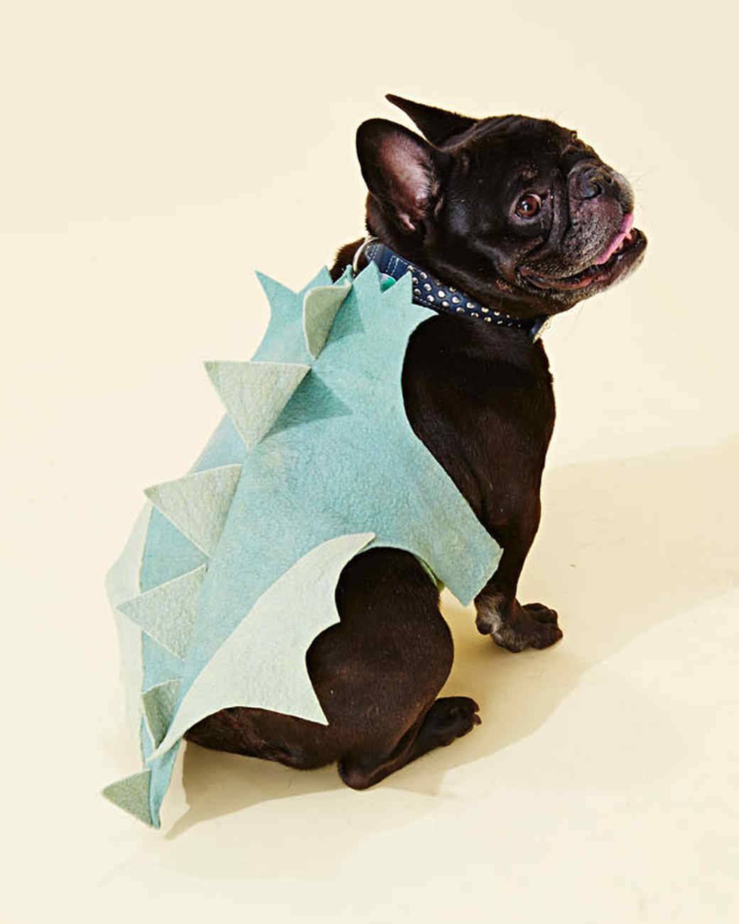 Halloween dragon dog costume