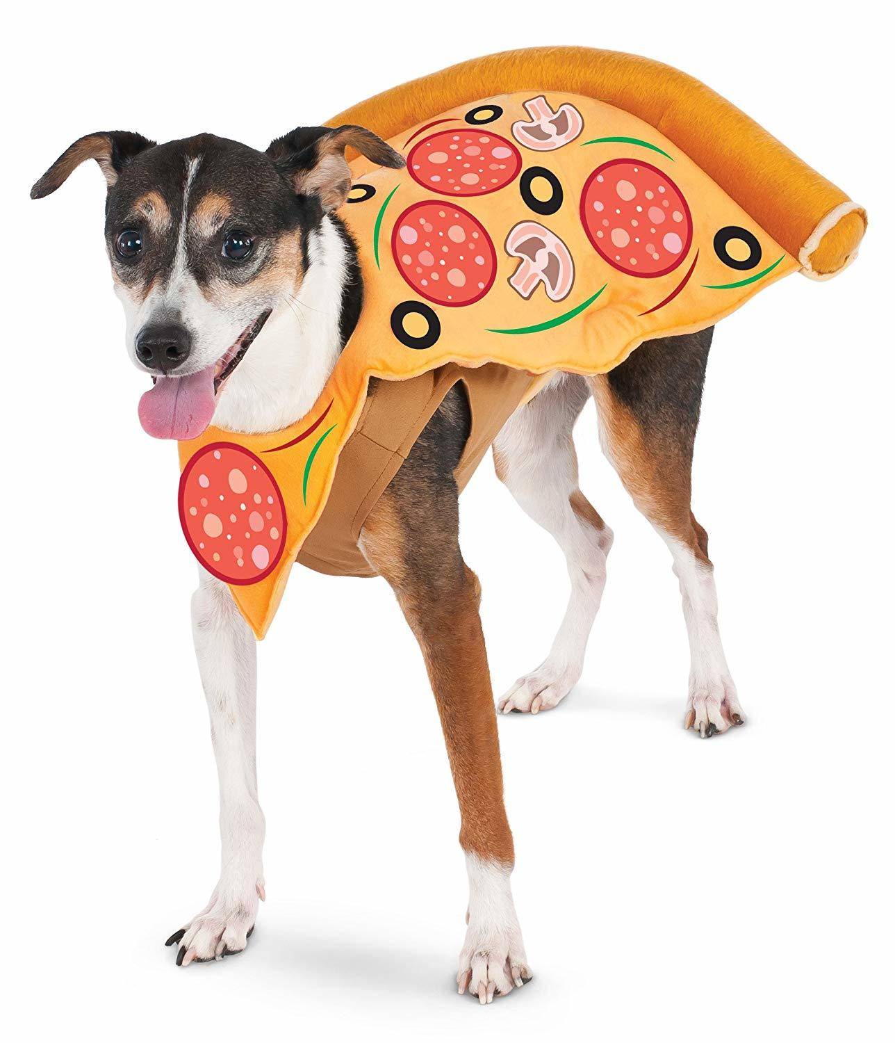 Halloween pizza dog costume
