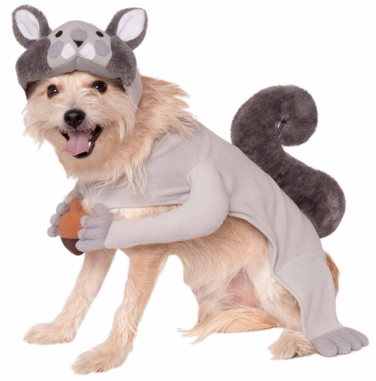 Halloween squirrel dog costume