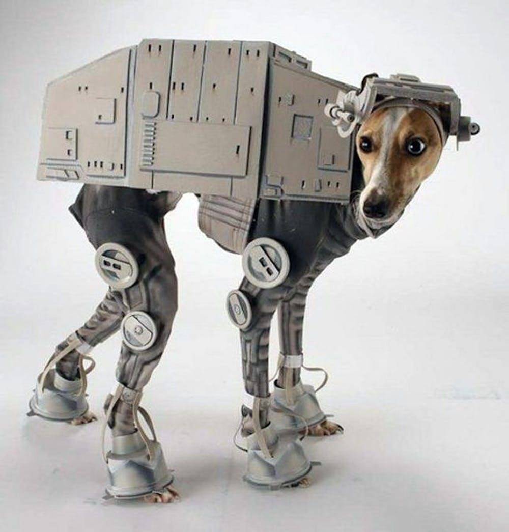 Star Wars pet Halloween costume