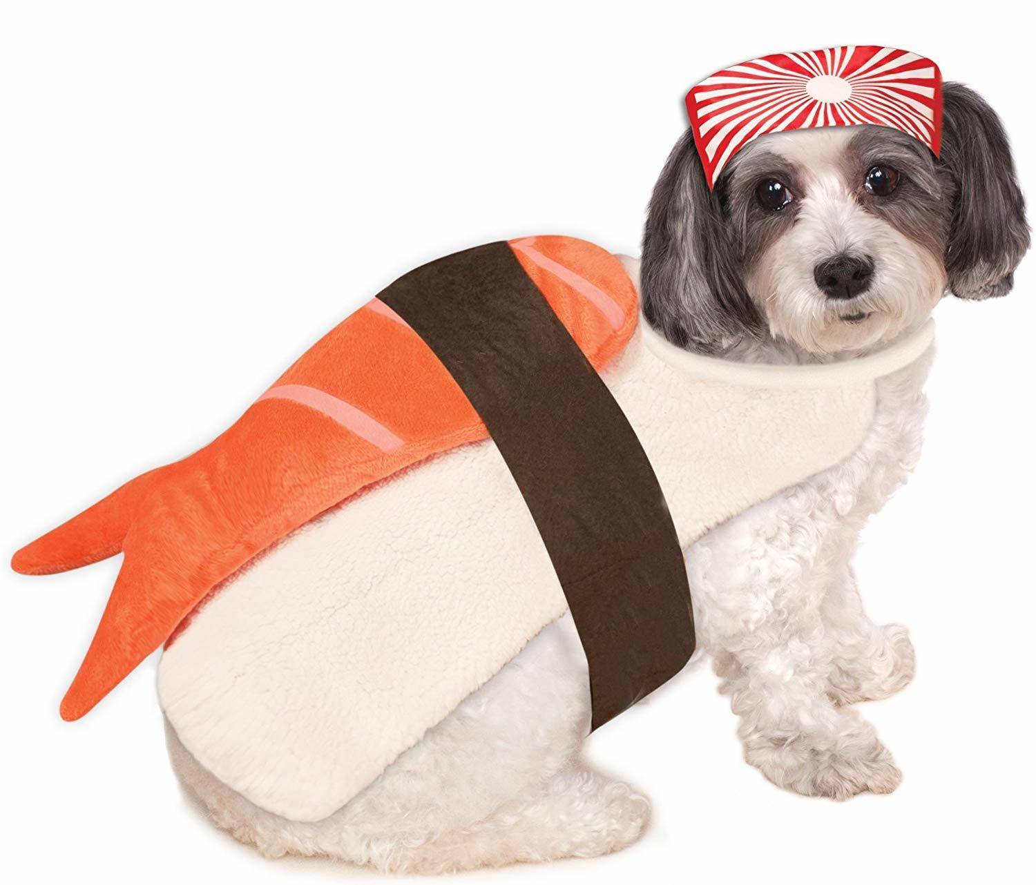 Halloween sushi dog costume