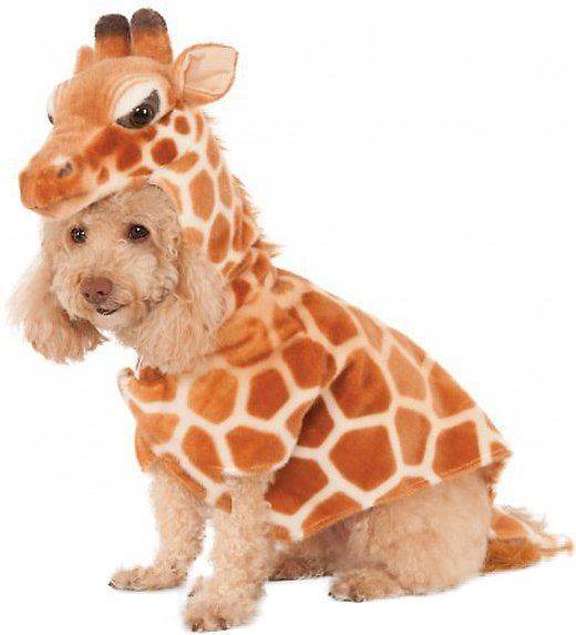 Halloween giraffe dog costume