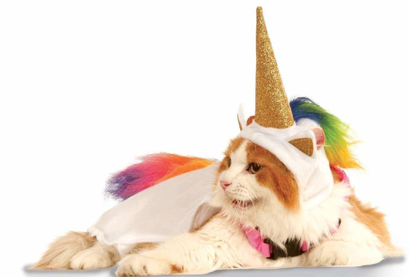 Halloween unicorn cat costume