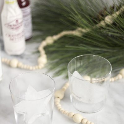 Make These: Holiday cocktail ice cubes!