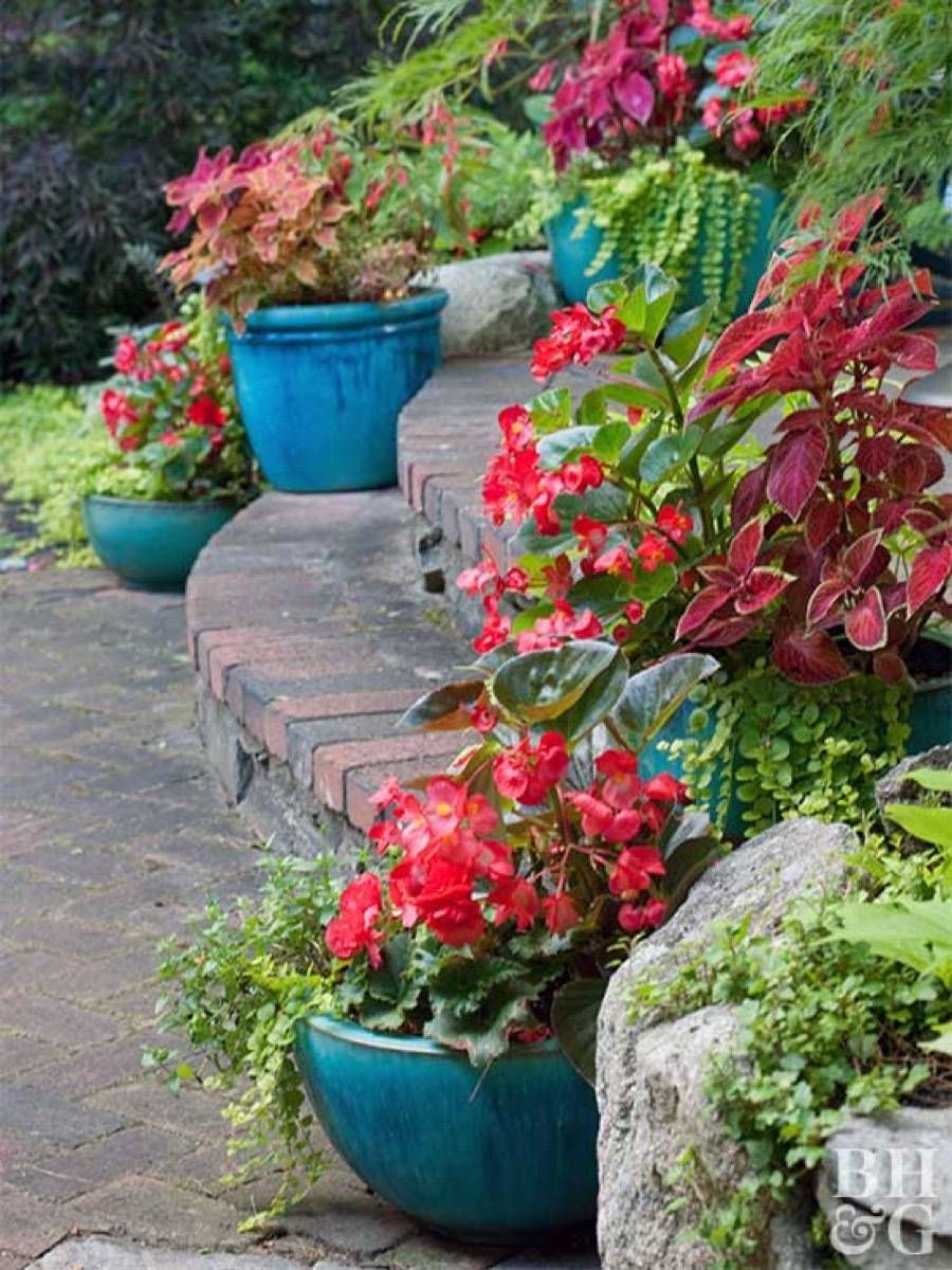 Large flower pots