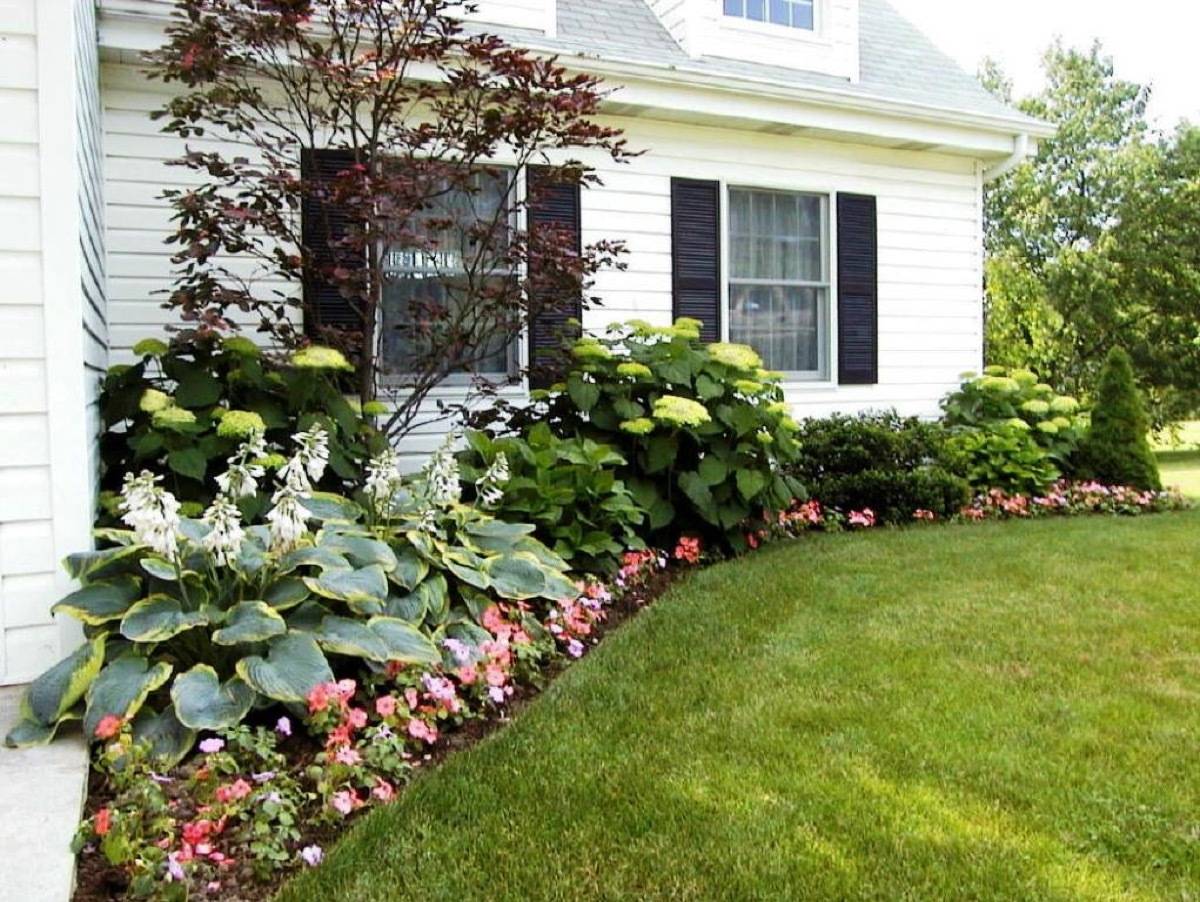 Layered lawn plants: 59 DIY landscaping ideas