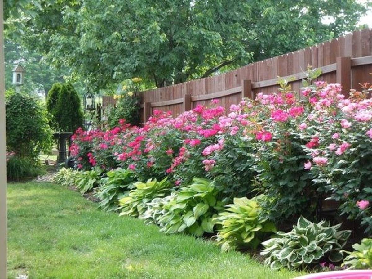 Flowers along the fence line: 59 DIY landscaping ideas