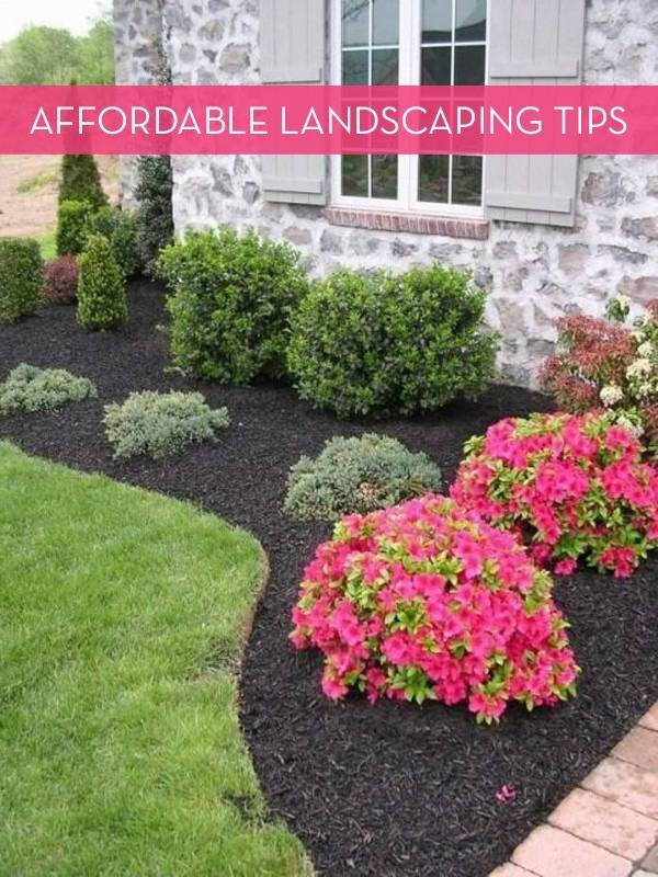 Affordable landscaping tips