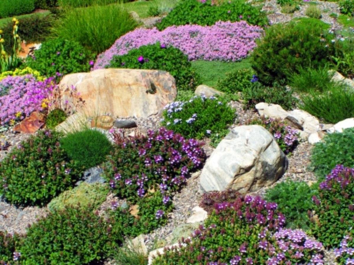 Large boulders among flowers: 59 DIY landscaping ideas