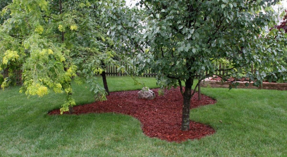 Mulch around the bottom of trees: 59 DIY landscaping ideas