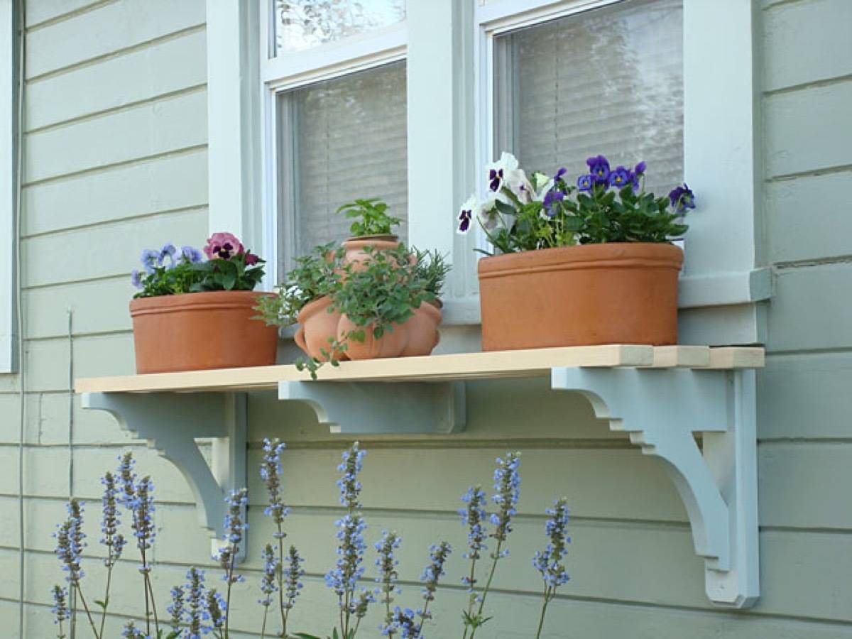 Plant shelf