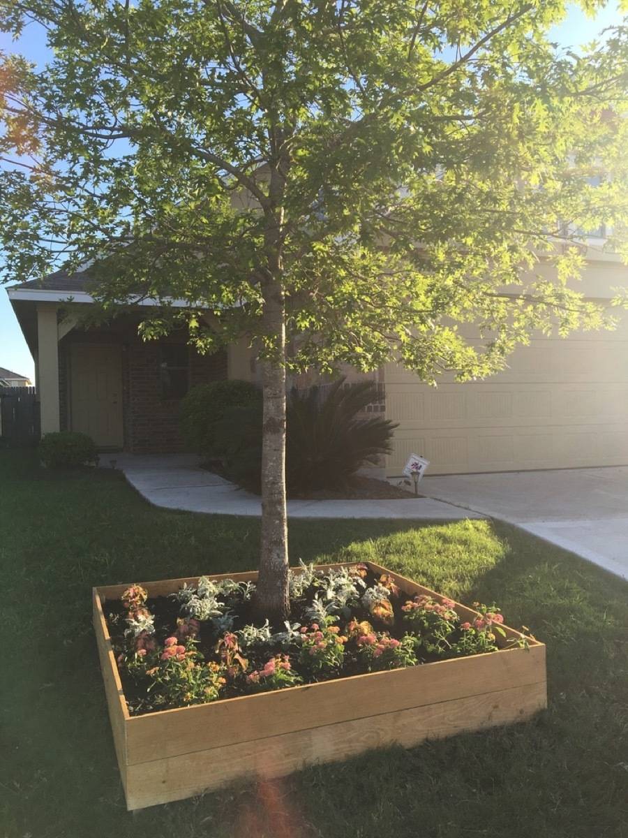 Flower box around tree