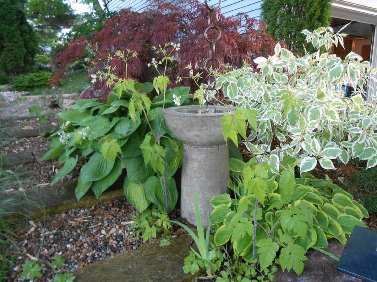 DIY bird bath: 59 DIY landscaping ideas