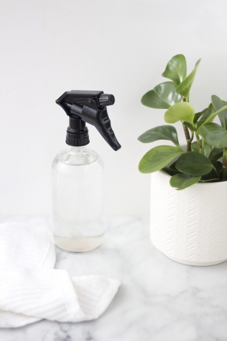 Moving? Don't forget to clean these 6 commonly overlooked areas